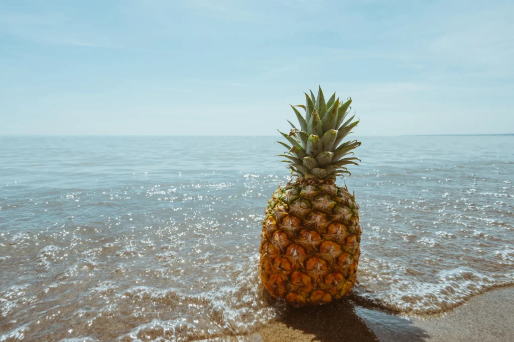 pineapple in coconut water